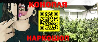 наркотики Гатчина