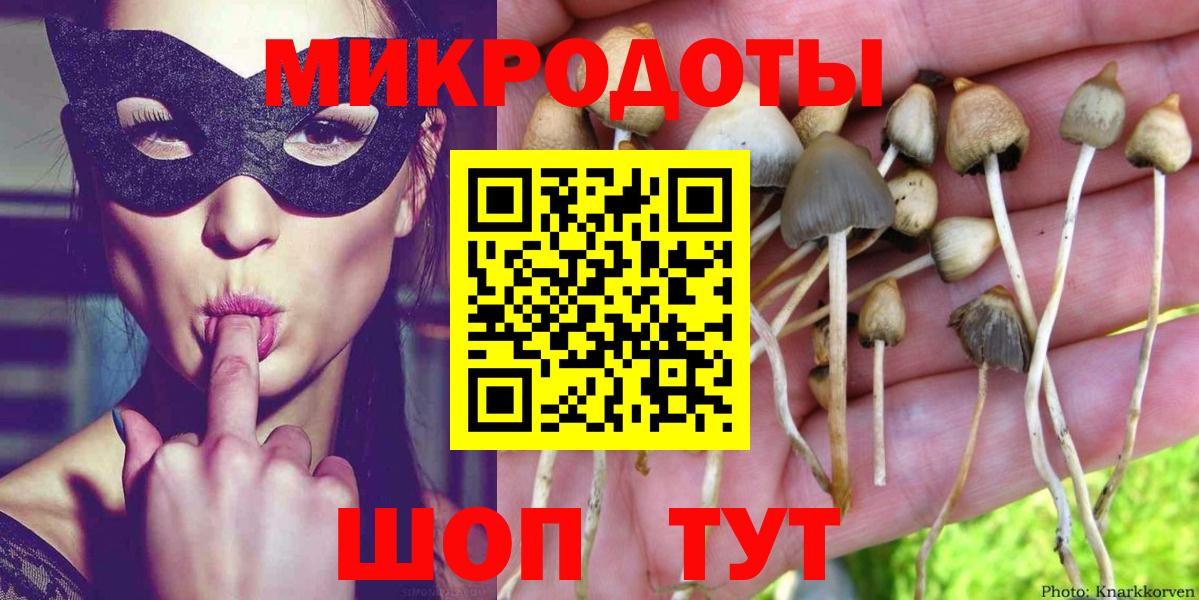 Галлюциногенные грибы Cubensis Нижневартовск